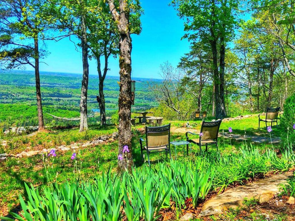 Eagles Perch - Mentone'S #1 Vacation Rental! Eksteriør billede